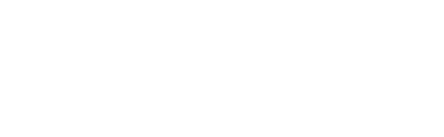 Phi Twelve Logo